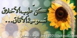 ظاهرة انهيار القيم